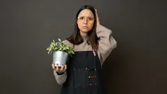 Co nenápadně škodí vašim rostlinám: 7 chyb v péči, které se zdají neškodné